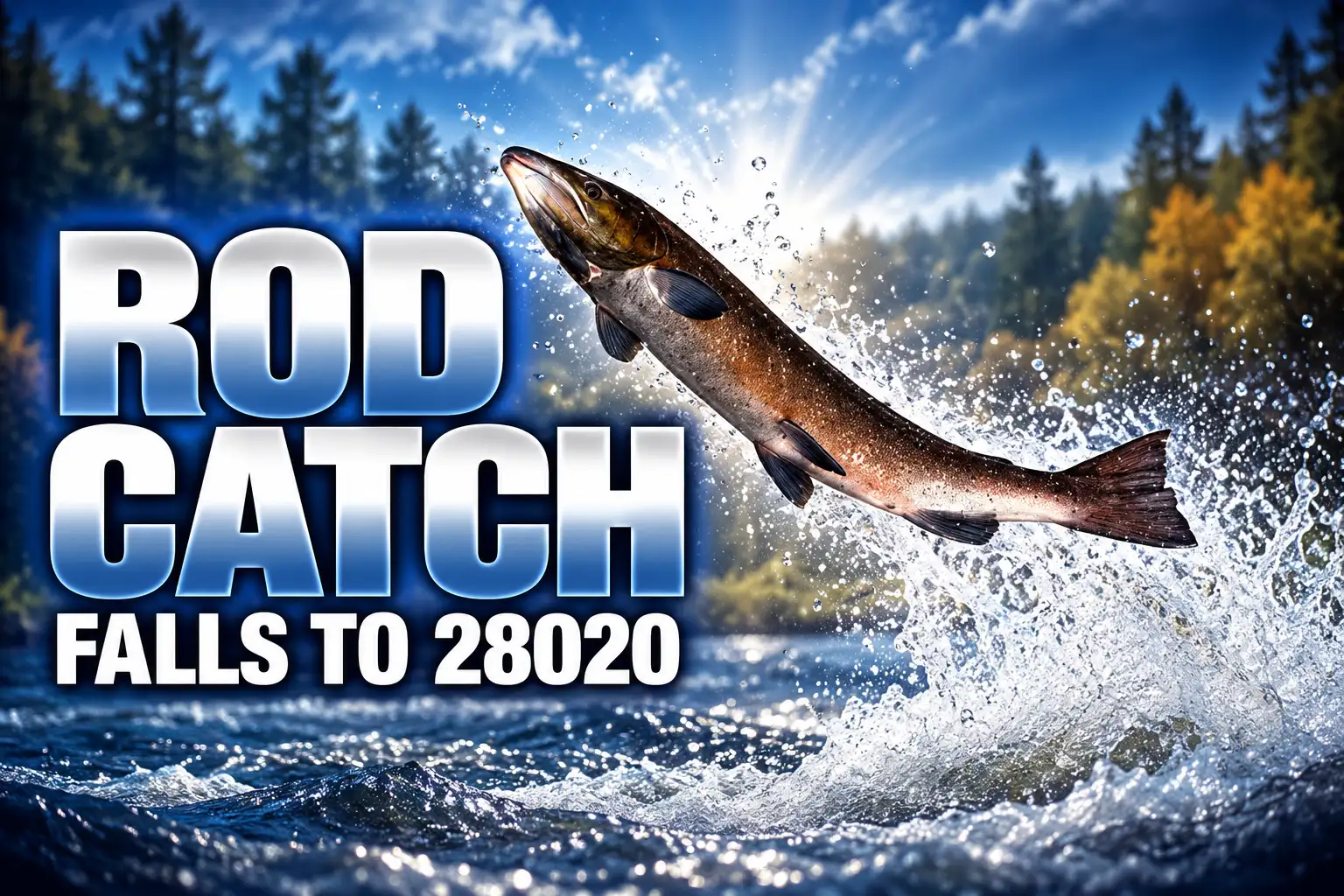 Scottish salmon rod catch falls to 28020 2025