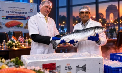 Scottish salmon India mission after $801 sample