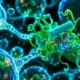 TM184C protein builds cell bridges autophagy