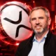 Brad Garlinghouse owns Solana keeps XRP top five