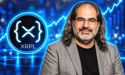 David Schwartz XRPL hub back over 500 peers
