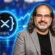David Schwartz XRPL hub back over 500 peers