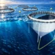 Mowi Scotland semi-closed salmon cage grant