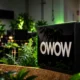 OWOW Eindhoven €2.65 million family office funding