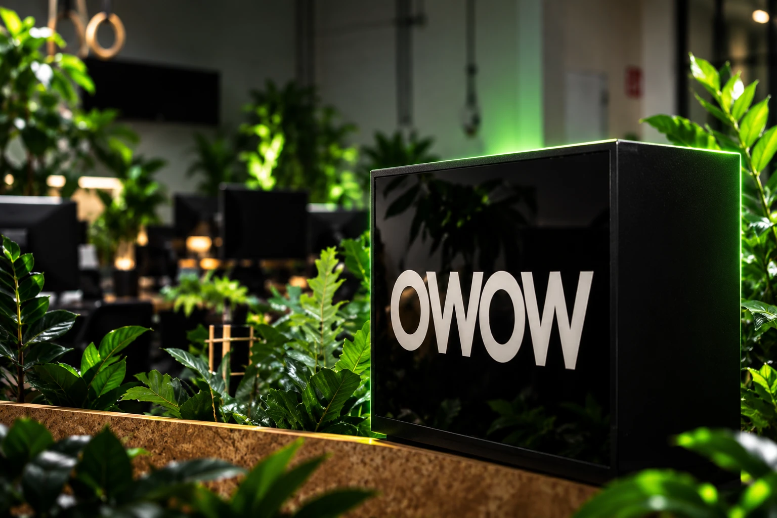 OWOW Eindhoven €2.65 million family office funding