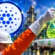 Petrobras Cardano CS-SAF token research apps