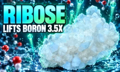 ribose borate mineral solubility origin of life study