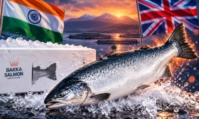 Scottish salmon India trade mission after $801 sample