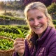 Scottish tea Kinnettles Gold climate farming Angus