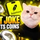 Super Cat 750% surge Robinhood Chain memecoin