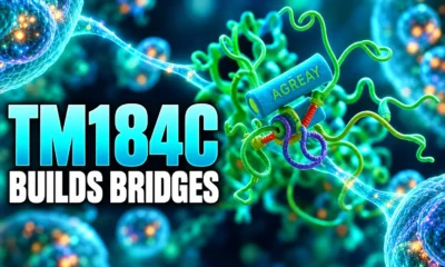 TM184C GPCR-like protein cell bridges and autophagy